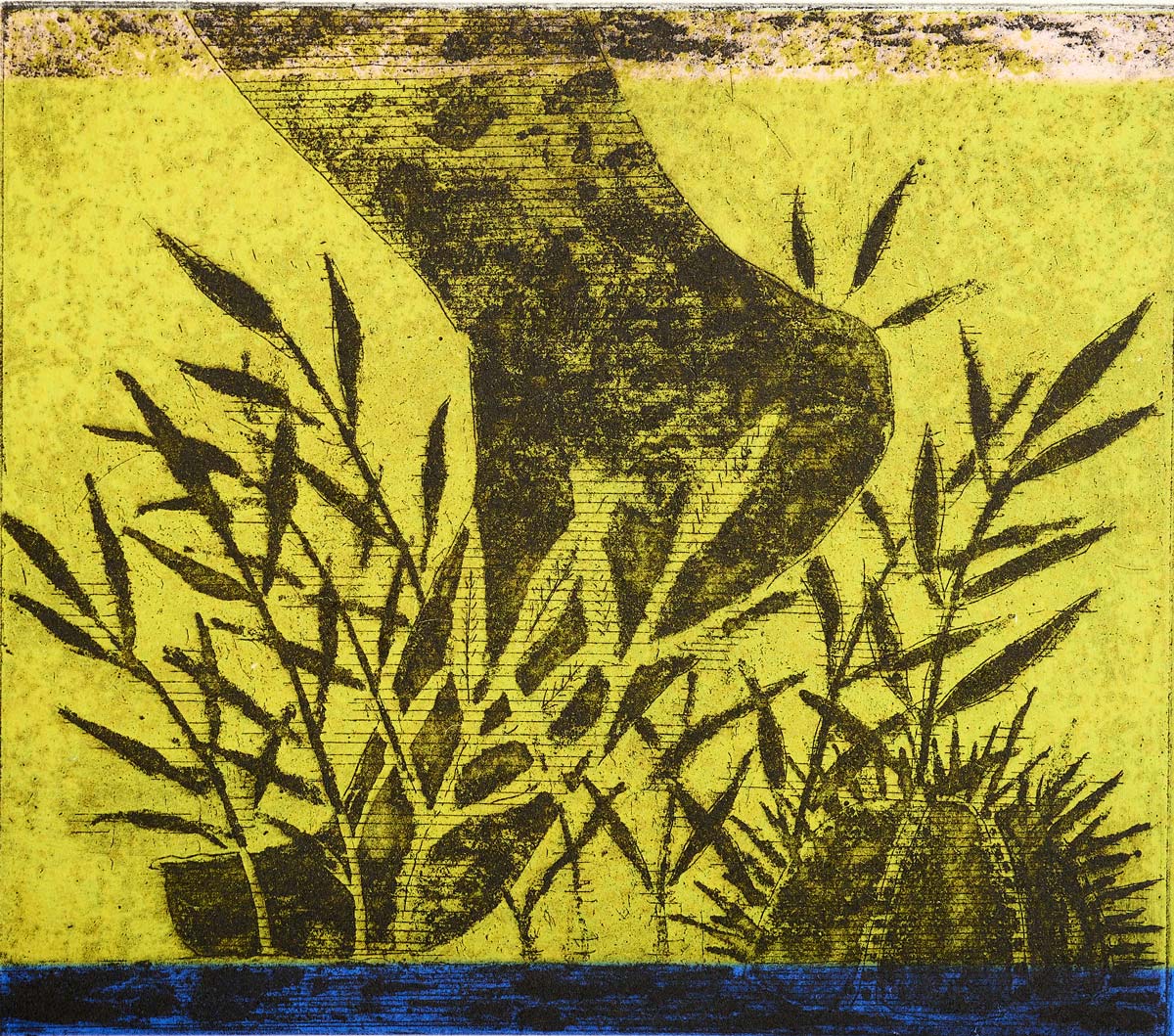 I Bite & Sting (Seaurchin), 26 x 27 cm, Colour Etching, 2020